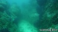 foto de buceo