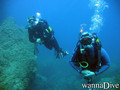scuba diving photo