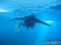 scuba diving photo