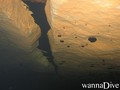 scuba diving photo