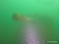 scuba diving photo