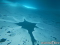 foto de buceo