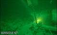 scuba diving photo