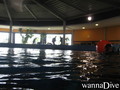 scuba diving photo