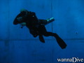 scuba diving photo