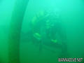 scuba diving photo
