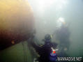 scuba diving photo