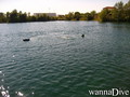 scuba diving photo