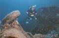 foto de buceo