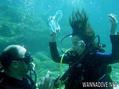 foto de buceo