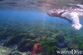 scuba diving photo