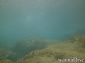 scuba diving photo