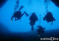 scuba diving photo