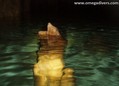 scuba diving photo
