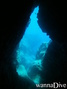 scuba diving photo