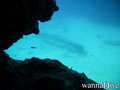 scuba diving photo