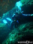 scuba diving photo