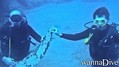 scuba diving photo