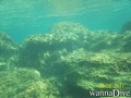 scuba diving photo