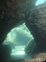scuba diving photo