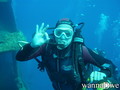 scuba diving photo