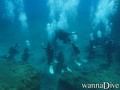 scuba diving photo