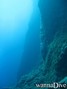 scuba diving photo