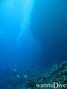 scuba diving photo