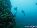 scuba diving photo