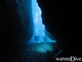 scuba diving photo