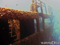 scuba diving photo