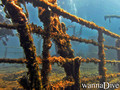 scuba diving photo
