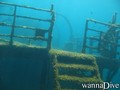 scuba diving photo