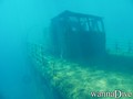 scuba diving photo