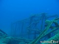 scuba diving photo