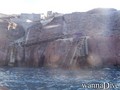 scuba diving photo