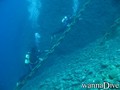 scuba diving photo