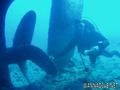 scuba diving photo