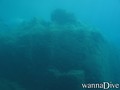 scuba diving photo
