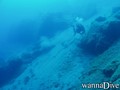 scuba diving photo