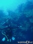 scuba diving photo