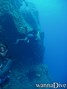 scuba diving photo