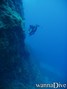 scuba diving photo
