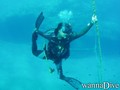 scuba diving photo