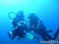 scuba diving photo