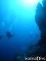 scuba diving photo