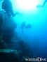 scuba diving photo