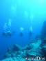 scuba diving photo