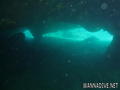 foto de buceo