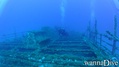 scuba diving photo